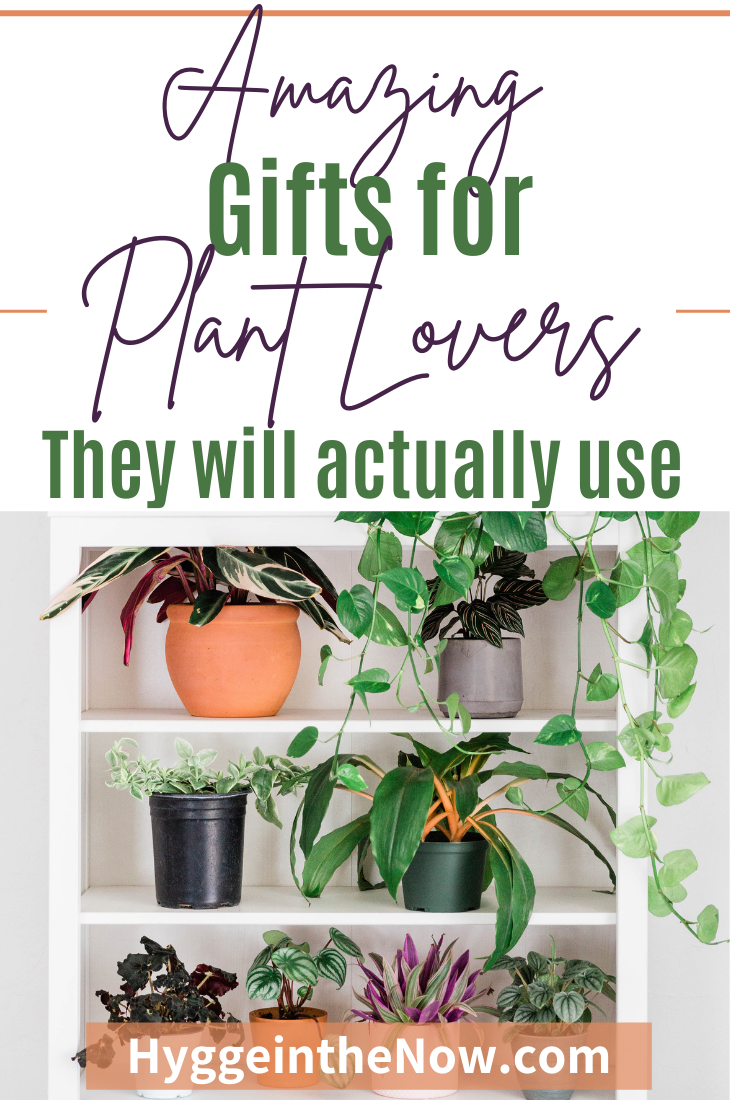 amazing gifts for plant lovers
